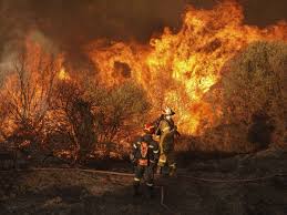 Wildfires
