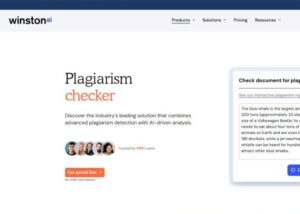 AI Plagiarism